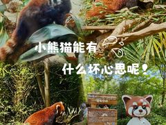 -红山森林动物园