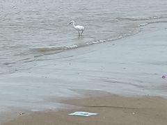 -南澳海滩