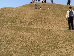 -南通洲际绿博园
