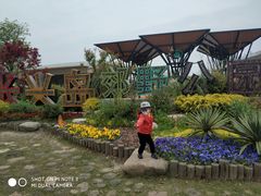 -上海长兴岛郊野公园