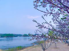 -马家湾湿地公园
