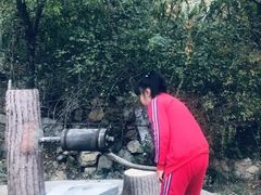 -石老人观光园