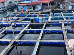 -蓝湾碧波·老字号·疍家非遗海上餐厅