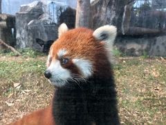 -东部华侨城
