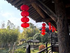 -大唐贡茶院