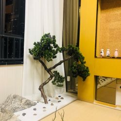 -JNK皮肤管理中心