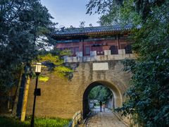 -云岗森林公园