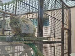 -青藏高原野生动物园