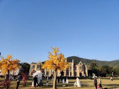 -玫瑰海岸文化旅游度假区