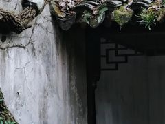 -留园