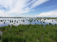 -花湖生态旅游区