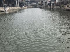 -西塘人家•黑金冠本地好店