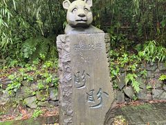 -都江堰中华大熊猫苑