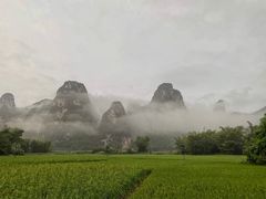 -明仕田园