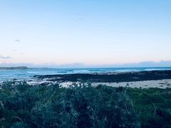 -企鹅岛