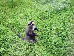 -西安秦岭野生动物园