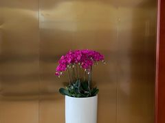 -广州花园酒店