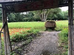 -黑龙江省森林植物园