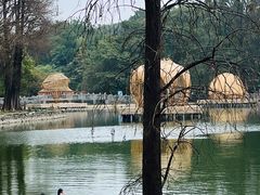 -广州市白云山风景名胜区