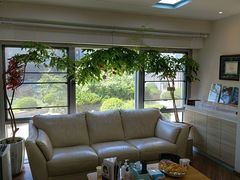 -精德口腔·种植修复·儿牙中心(财富中心店)