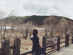 -泸沽湖里格半岛
