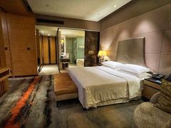 -西安赛瑞喜来登大酒店