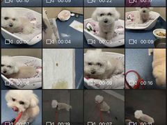 -创凡宠物医院·骨专科  猫科中心(西乡分院)