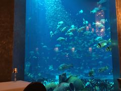 -迪拜帆船酒店海底餐厅