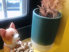 -22cafe