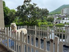 -舟山朱家尖绿城威斯汀度假酒店