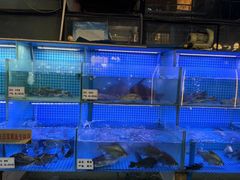 -老宋家鱼馆(北滨路店)
