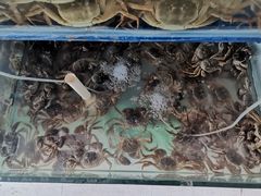 -阳澄湖大闸蟹·琼灵阁牌品牌连锁(吴中总店)