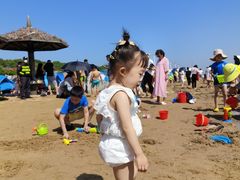 -碧海金沙