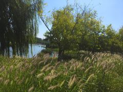 -东郊湿地公园