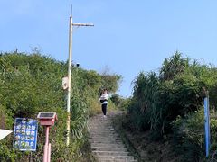 -鹿嘴山庄