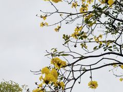 -晓港公园