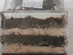 -味多美蛋糕(洋桥店)