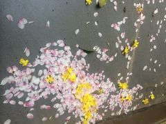 iphone_upload_pic-竹吟山房