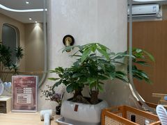 -瑶舍头疗·瑶浴·芳香热石SPA(五洲国际店)