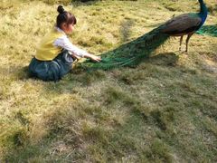 -西双版纳傣族园
