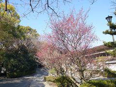 -热田神宫