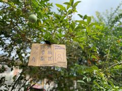 -三溪村