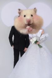 -巴黎经典婚纱摄影PARISSIC