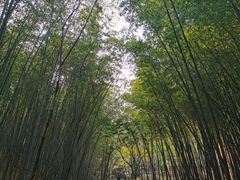 -穹窿山景区
