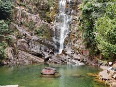 -鼎湖山风景区