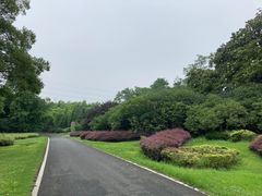 -宜兴龙背山森林公园