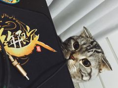 -瑞鹏宠物医院·骨科·猫科·内科(第一中心)