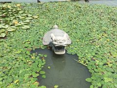 -昆山城市生态森林公园