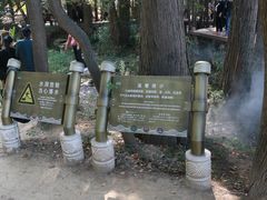 -东湖落雁景区