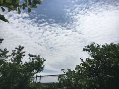 -浙江越秀外国语学院